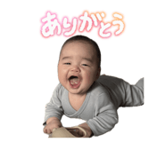 830385640