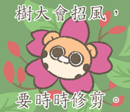 830392441