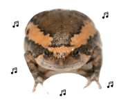 830394404