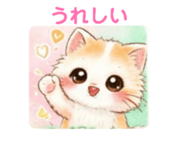 830400456