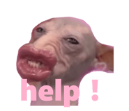 830405325