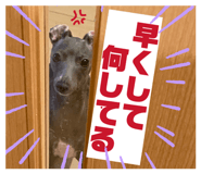 830405327