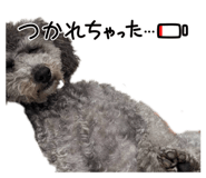 830406796