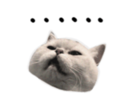 83043435