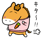 830455208