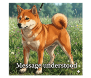 830456728