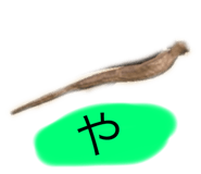 830498646