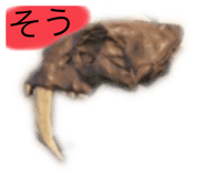 830498647