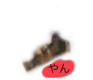 830498648