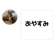 830501940