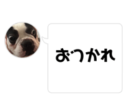 830501945