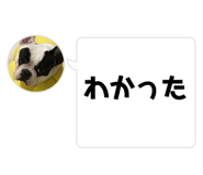 830501948