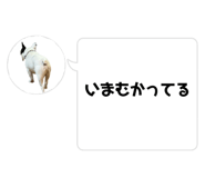 830501949