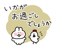 830502290