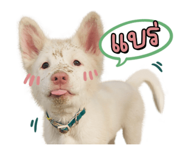 ลายที่ 1