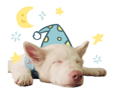 ลายที่ 3