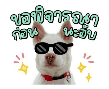 ลายที่ 5