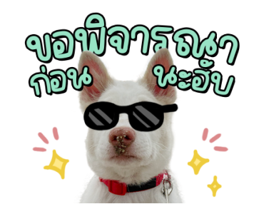 โกฮัง..หัวใจโกโฮม Ver.2 รูปที่ 3
