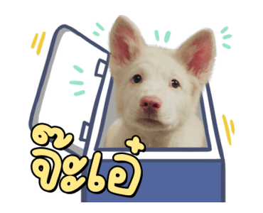 ลายที่ 7