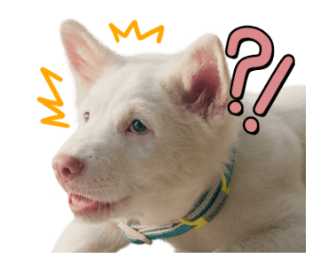 ลายที่ 9