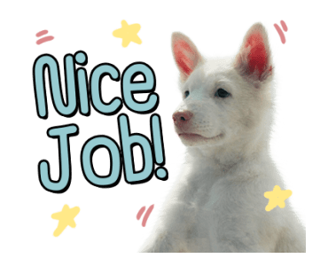 ลายที่ 13