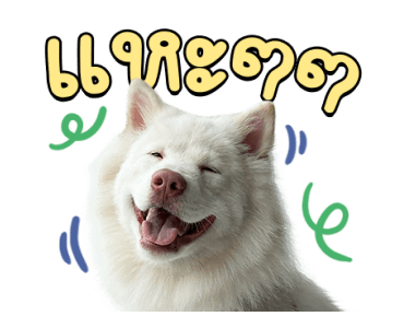 ลายที่ 17