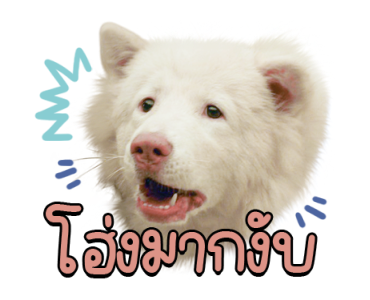 โกฮัง..หัวใจโกโฮม Ver.2 รูปที่ 12