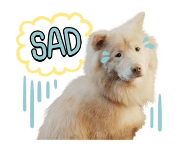 ลายที่ 25