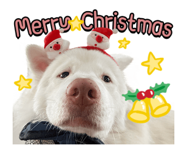 ลายที่ 27