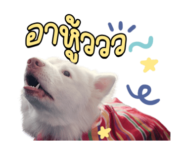 ลายที่ 31