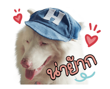 ลายที่ 33