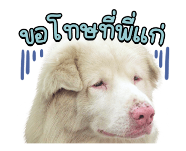 ลายที่ 35