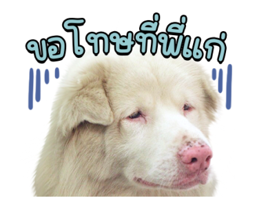 โกฮัง..หัวใจโกโฮม Ver.2 รูปที่ 18