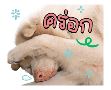 โกฮัง..หัวใจโกโฮม Ver.2 รูปที่ 20