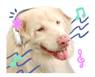 ลายที่ 41