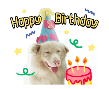 ลายที่ 43