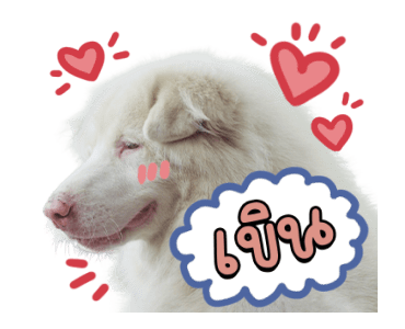 ลายที่ 45