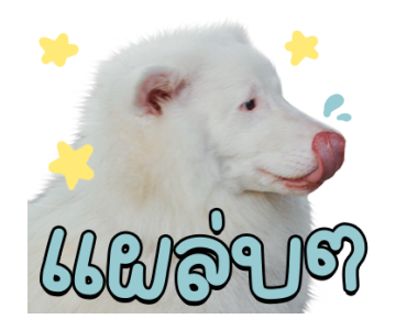 โกฮัง..หัวใจโกโฮม Ver.2 รูปที่ 24
