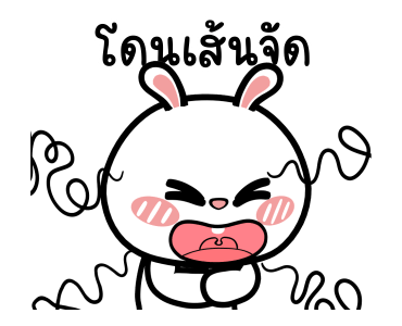 ลายที่ 13