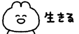 830520048