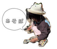 830527217