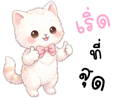 ลายที่ 13