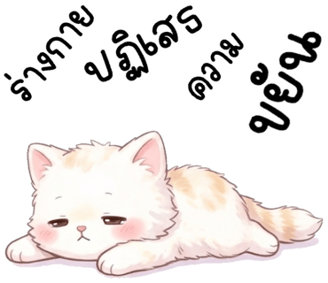 ลายที่ 23