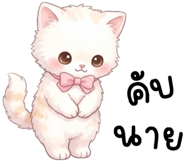 ลายที่ 24