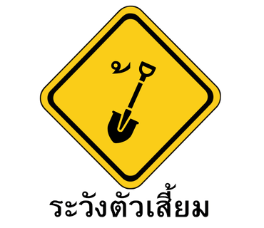 ลายที่ 25