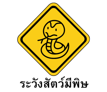 ลายที่ 35