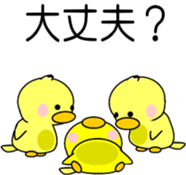 830538427