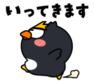 830543064