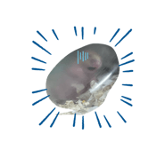 830547996