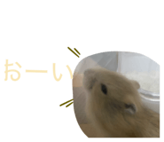 830547998